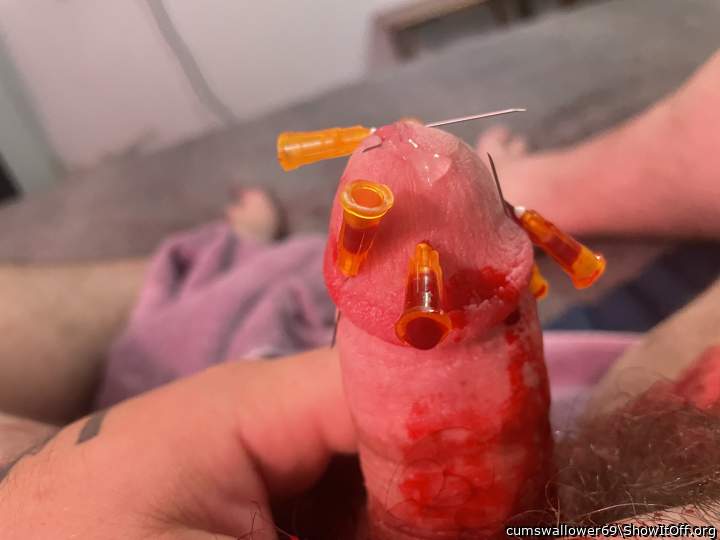 Photo of a rooster from cumswallower69