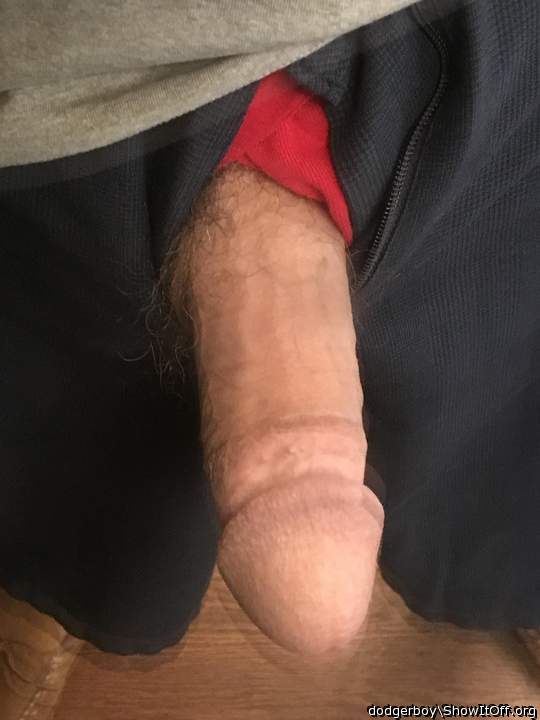 Photo of a drain pipe from dodgerboy