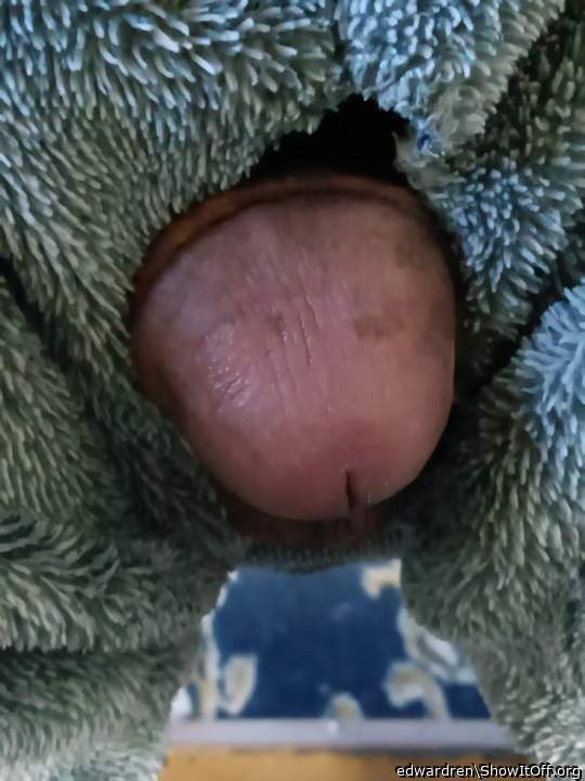 Photo of a horn from edwardren