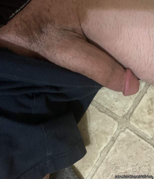 Photo of a rooster from Jake302