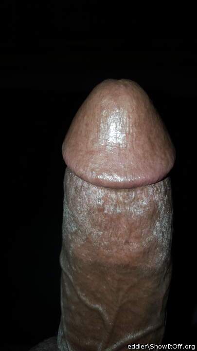 Photo of a dong from eddier
