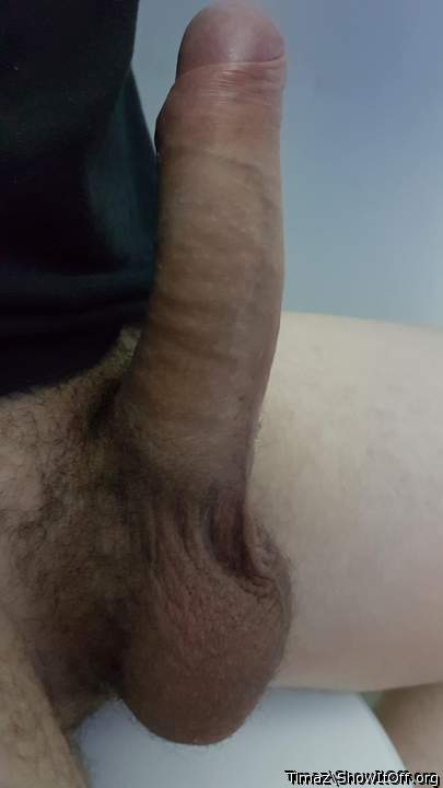 Photo of a ram rod from Timaz
