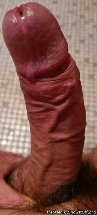 Just gonna say thats a good looking cock ladies. I hope you