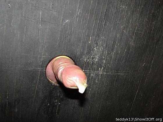 Photo of a third leg from teddyk13
