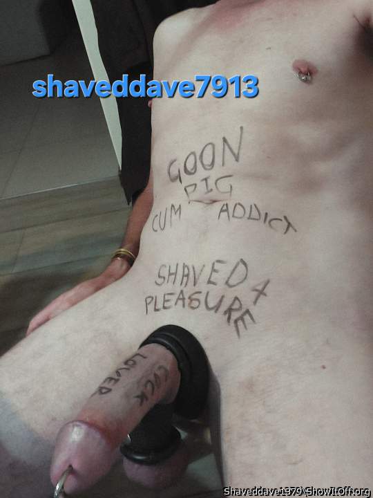 Photo of a cavalier from Shaveddave1379