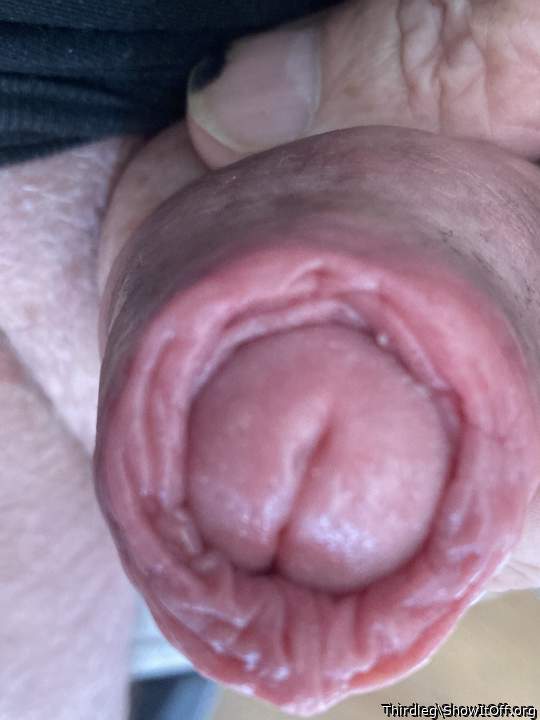 Photo of a horn from Thirdleg