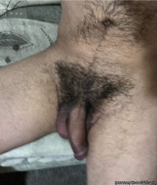 Photo of a middle leg from jesseboy