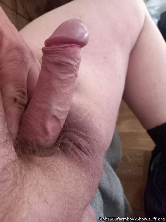 Photo of a bald-headed mouse from Rob1988farmboy