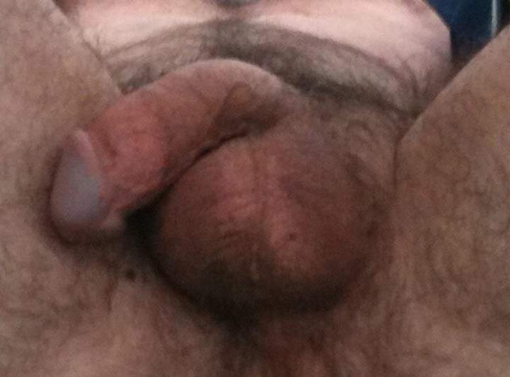 Photo of a weasel from bdguy