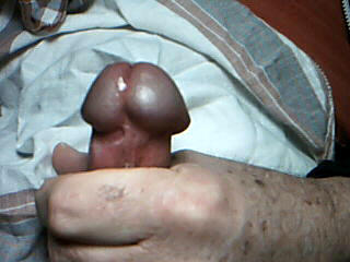 Photo of a snake from wallyw1998