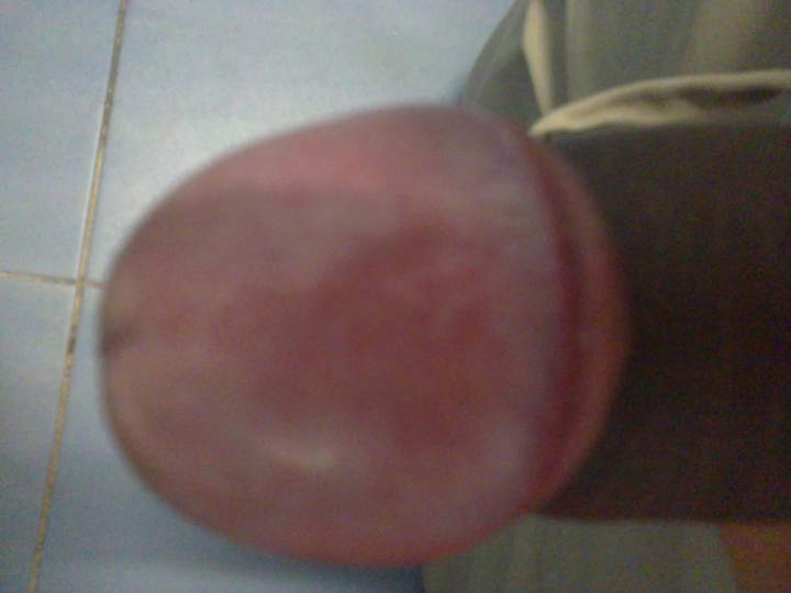 Photo of a dong from nicedices