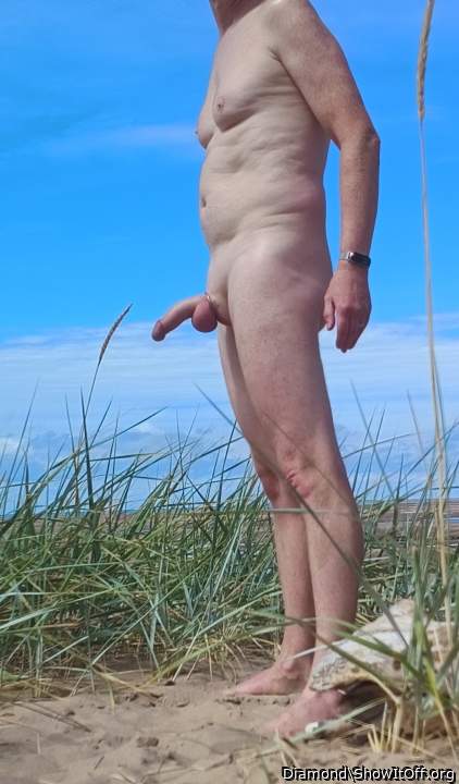 Wandering around the dunes....