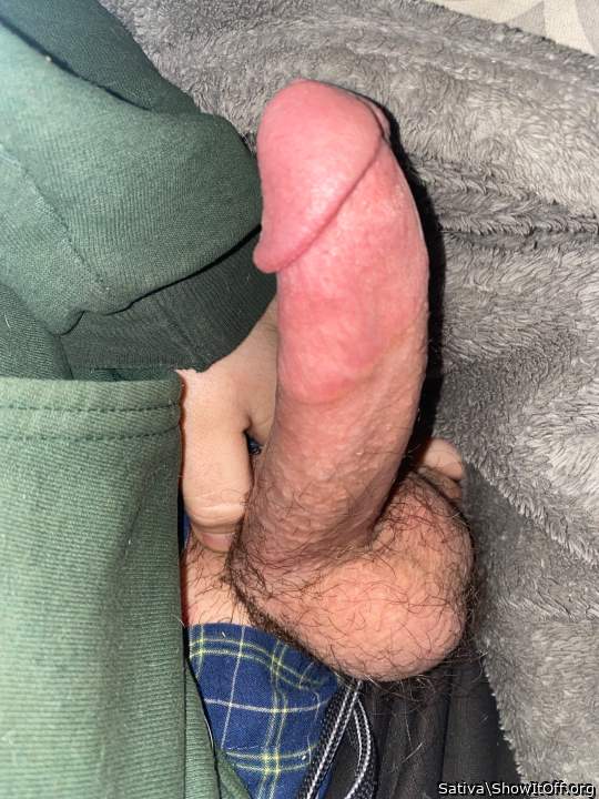 Photo of a hot dog from Sativa