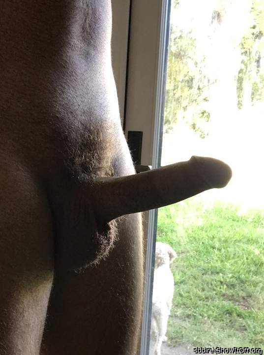 Photo of a ram rod from sbbire