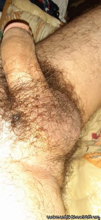 Testicles Photo from DeadEndSperm