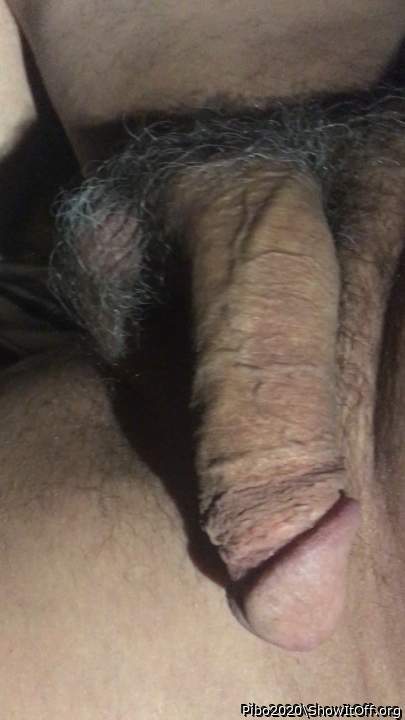 Photo of a third leg from Pibo2020