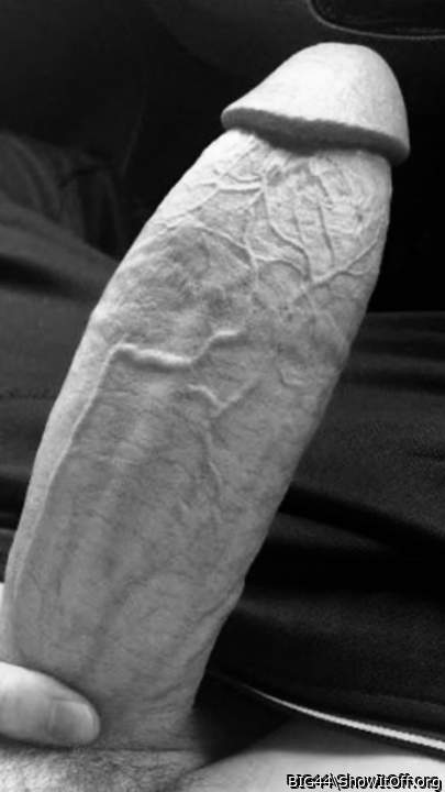 Beautiful cock!