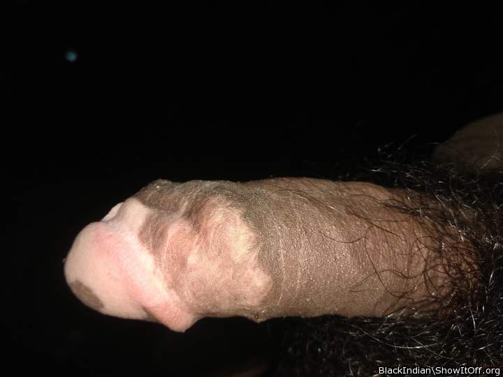Photo of a snake from BlackIndian