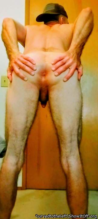Photo of a weasel from Curvedtotheleft