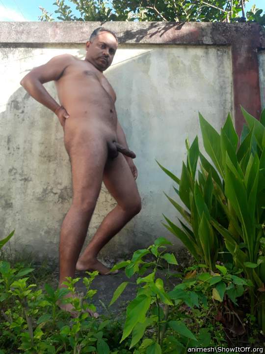  hot stallion !! 