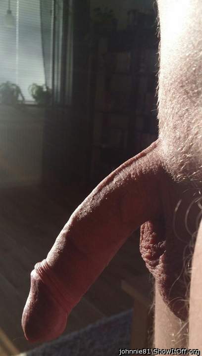 Photo of a horn from johnnie81