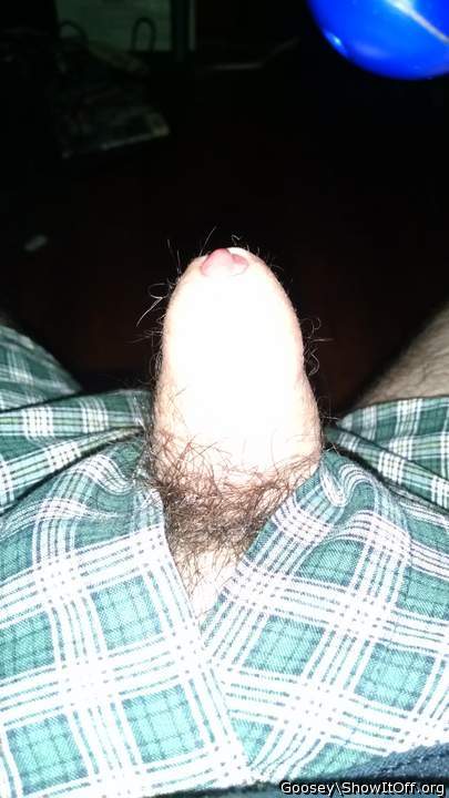 Sweet phimosis  