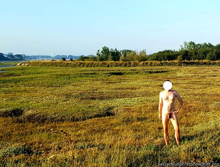 Photo of a lizard from SecretNudist79