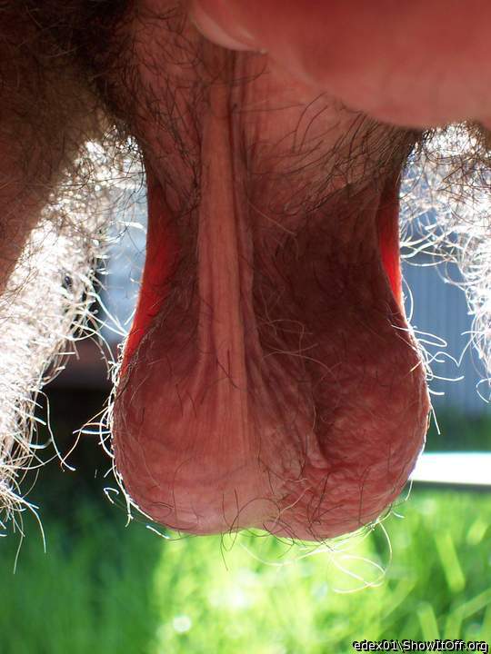 The testicles I love  