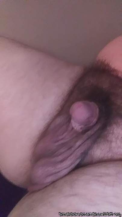 Photo of a phallus from Smalldickedman