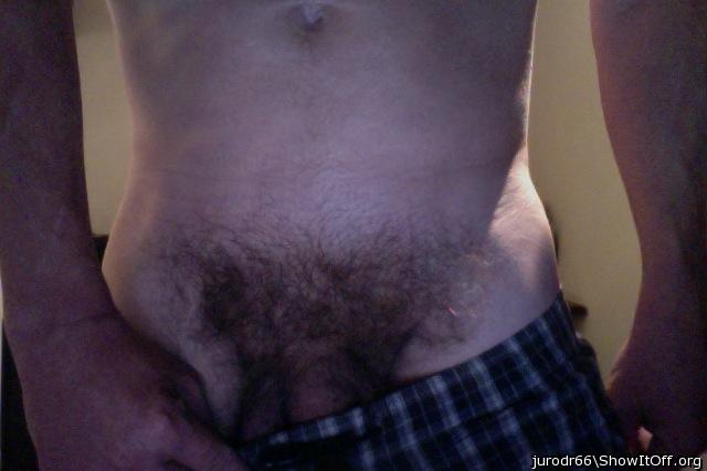 my bush