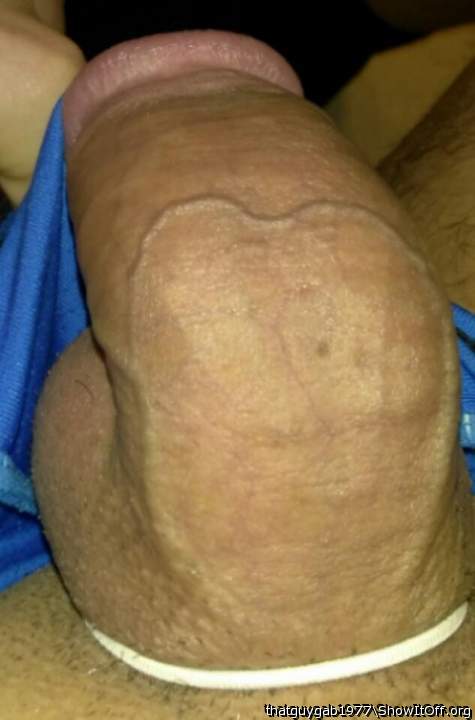 Photo of a hot dog from thatguygab1977