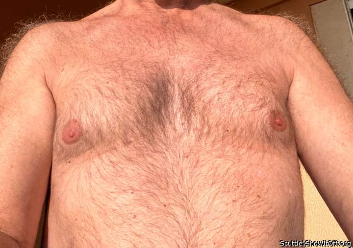 Adult image from Scuttle