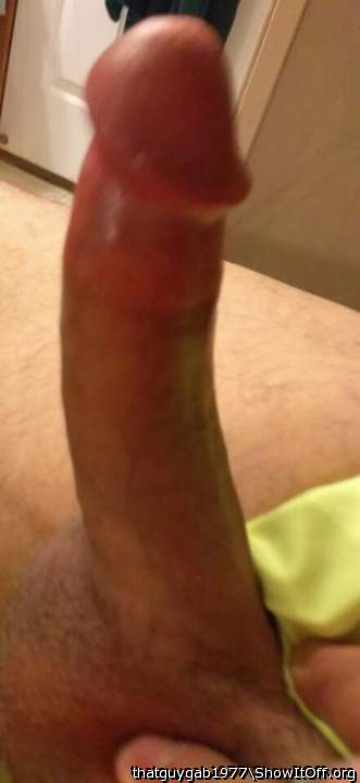 Photo of a weasel from thatguygab1977