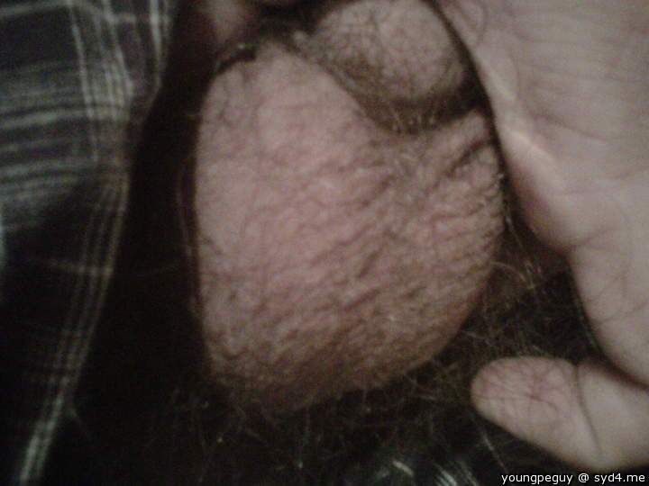 Testicles Photo from youngpeguy