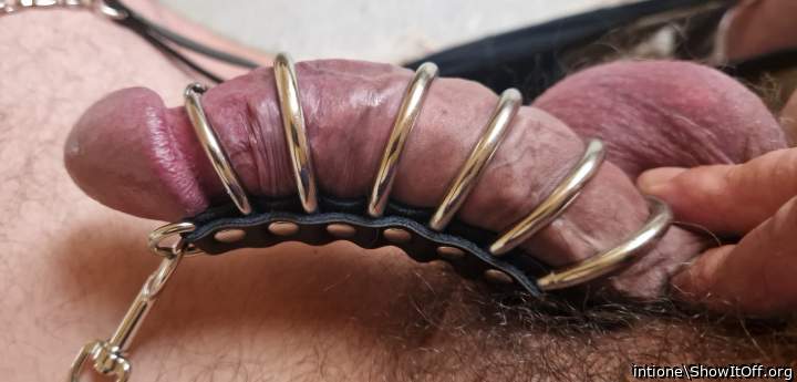 Awesome ringed cock, feels so wonderful!      