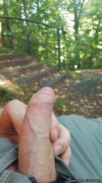 geiler, fetter Schwanz, TOP