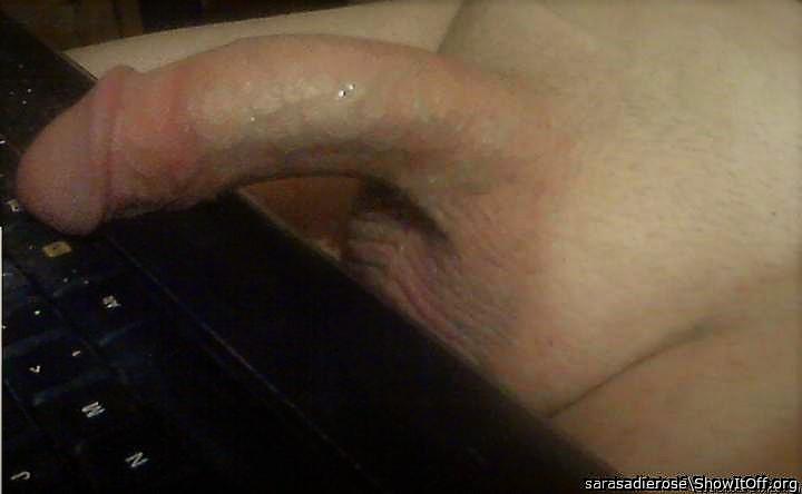 Photo of a ram rod from sadierose