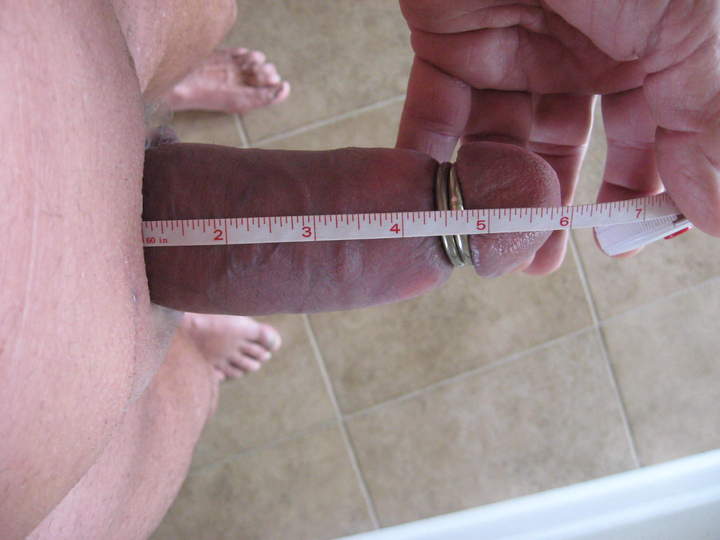 Photo of a lizard from sailor