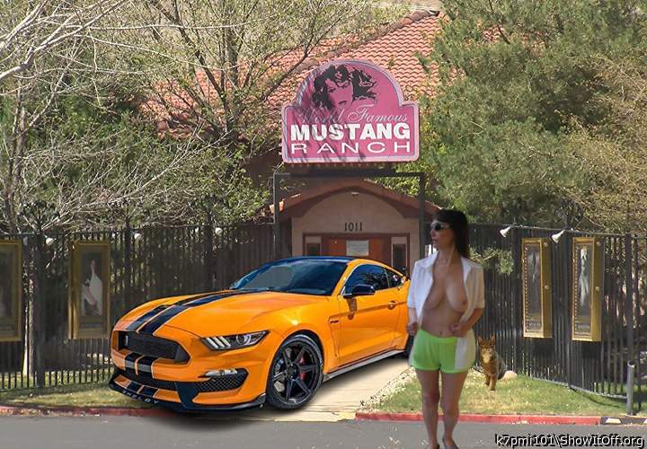 My Mustang