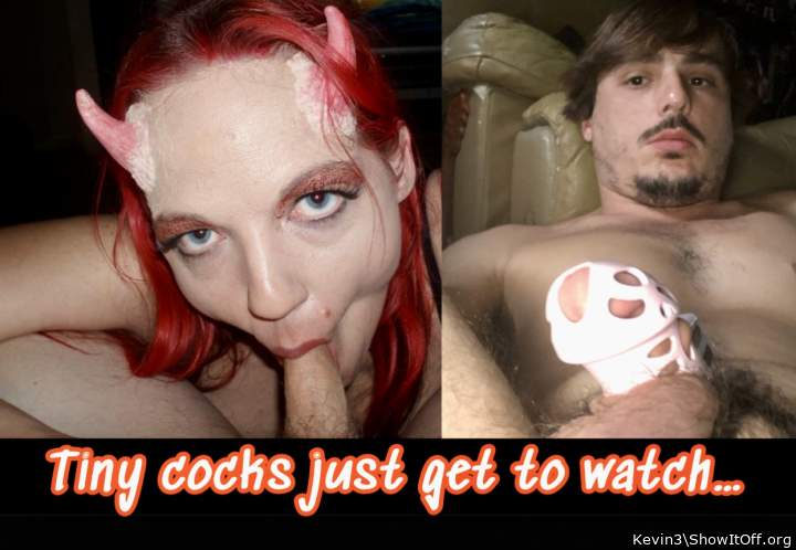 Photo of a middle leg from Kevin3