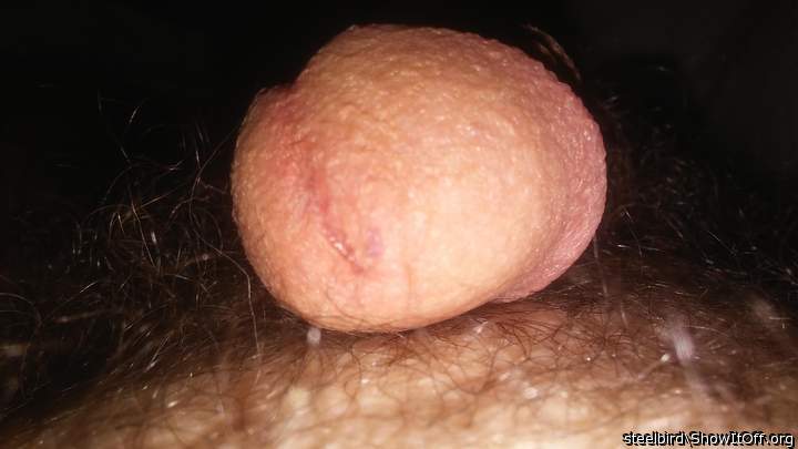 Photo of a dong from Steelbird
