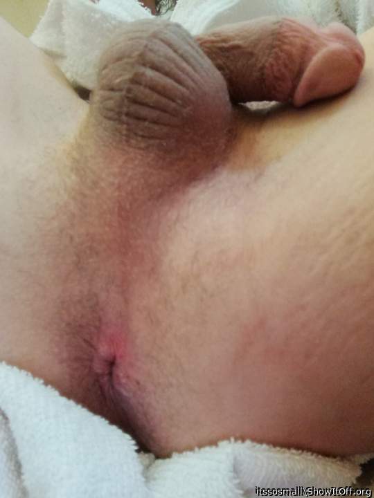 Thinking of putting something bigger than a finger in there, anyone keen?