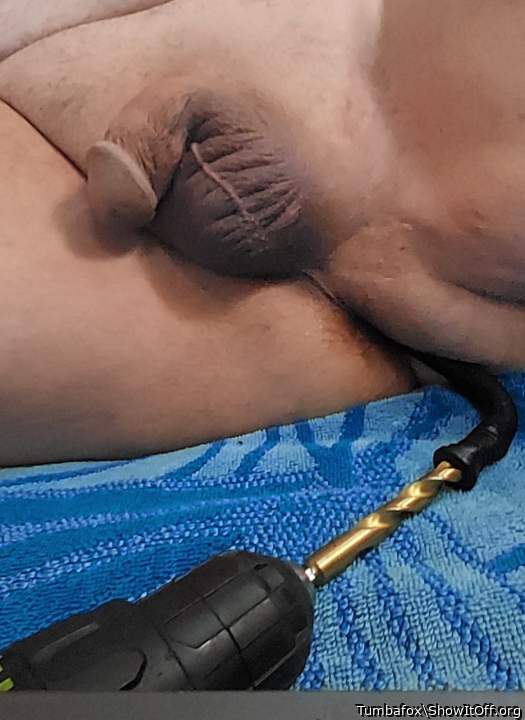 Photo of a phallus from Tumbafox