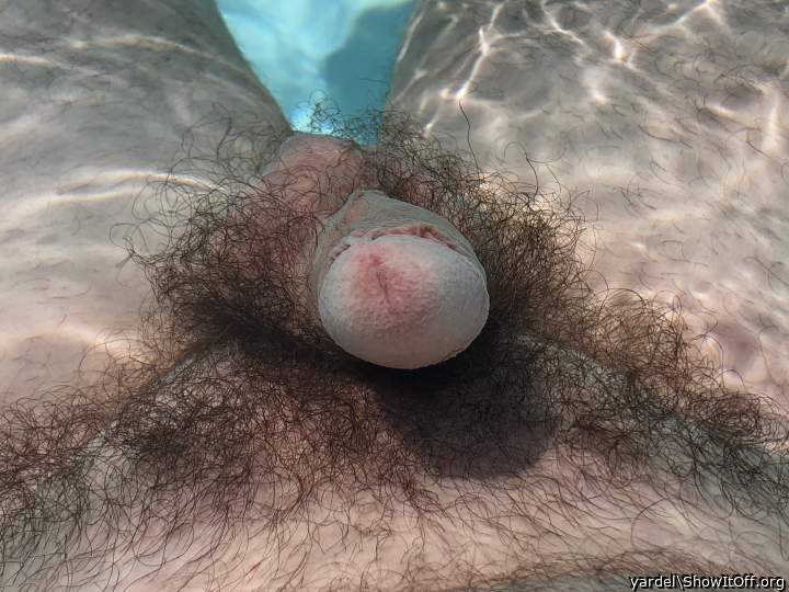 klasse unterwasser aufnahme  