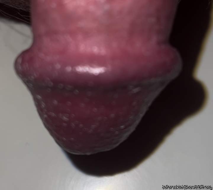 Photo of a rooster from Joforeskin