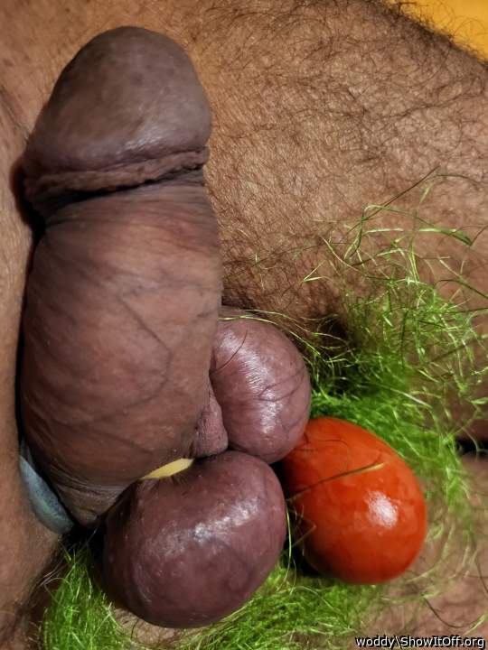 eastern 23