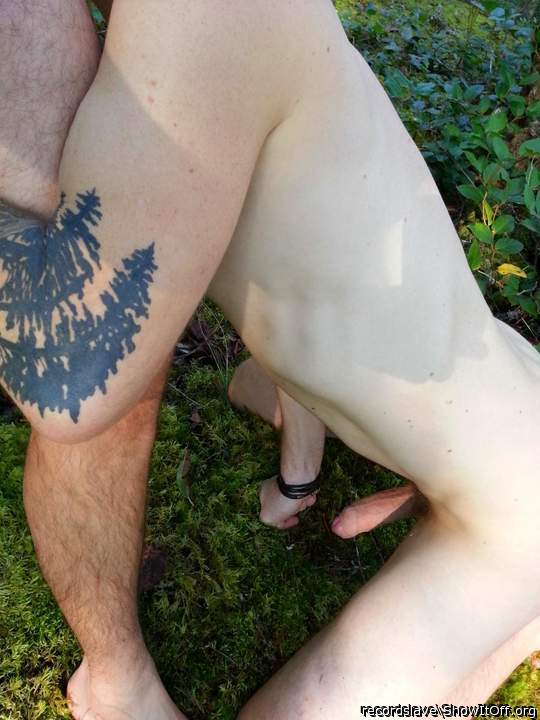 Photo of a sausage from recordslave