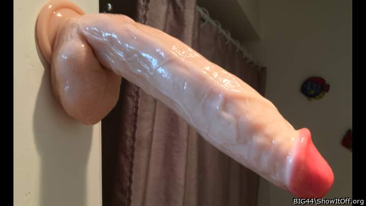 Monster Fat White Horse Cock