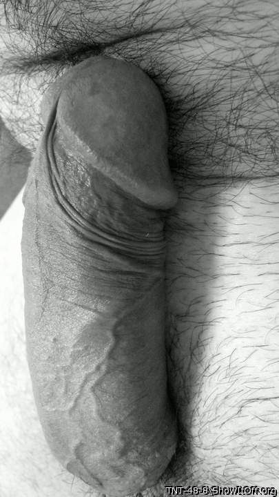 Photo of a penis from TNT-48-8