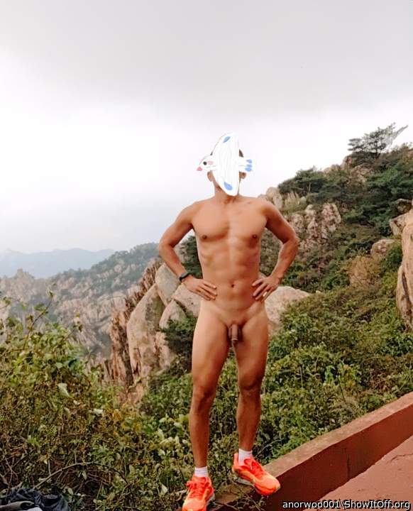 Photo of a python from anorwoo001